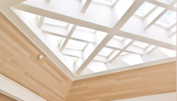 unique design Neo linking rooflights - Alternative designs
