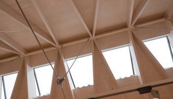 Neo shape or size to suit you