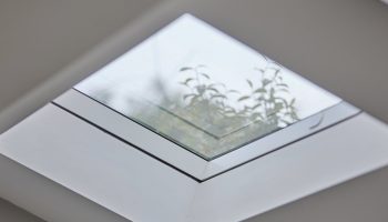 Neo unobstructed views